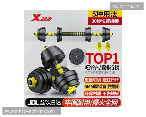 最新哑铃报价及市场分析助您选购最优健身器材
